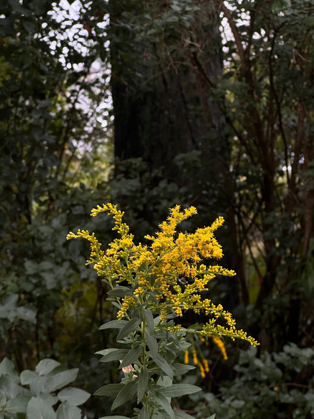 September... A time for embodiment and integration