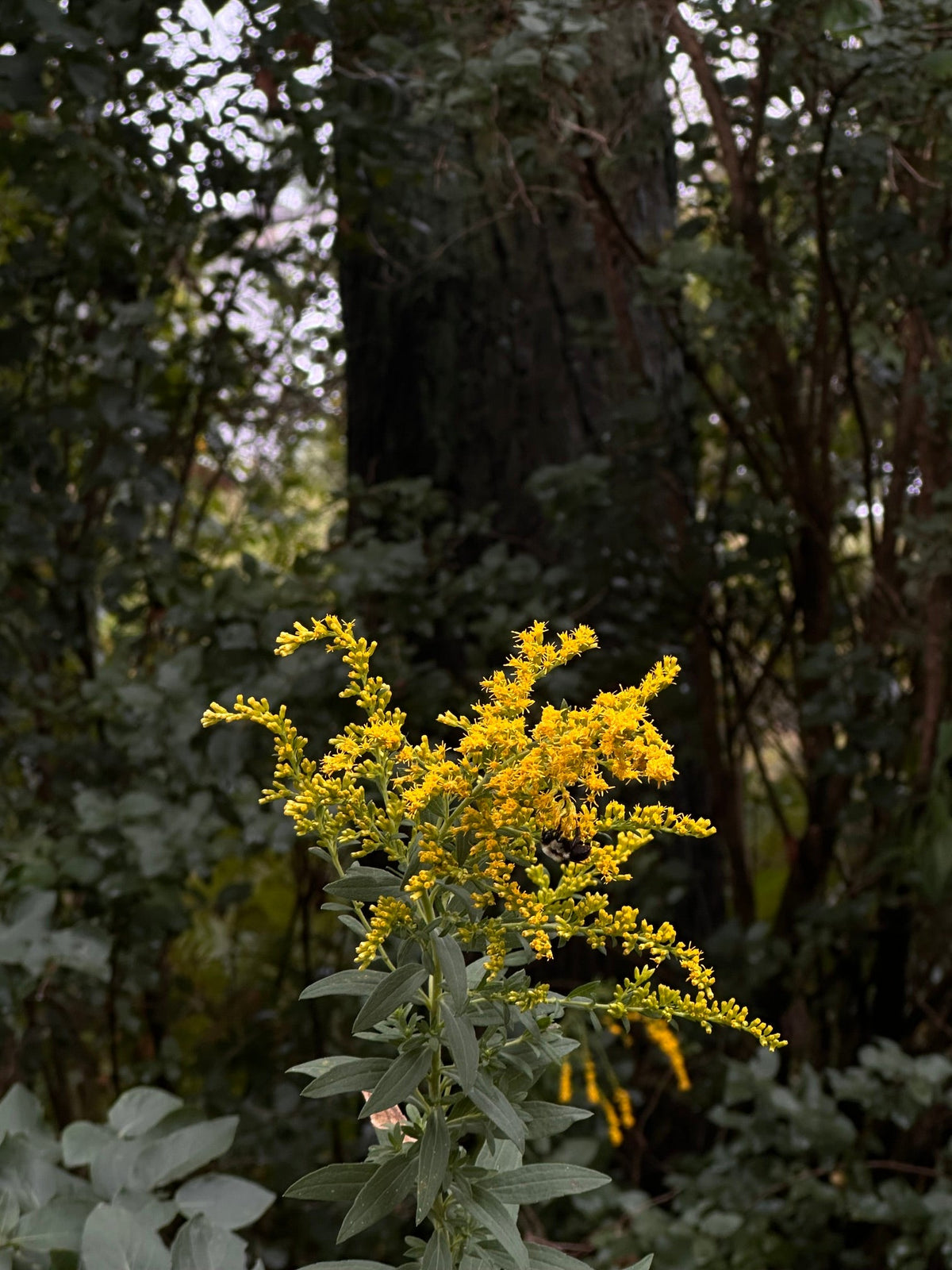 September... A time for embodiment and integration