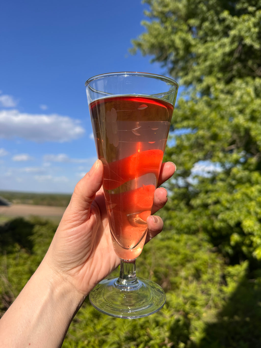 Hummingbird - A nectar-like white tea infusion, perfectly balanced for cold brewing