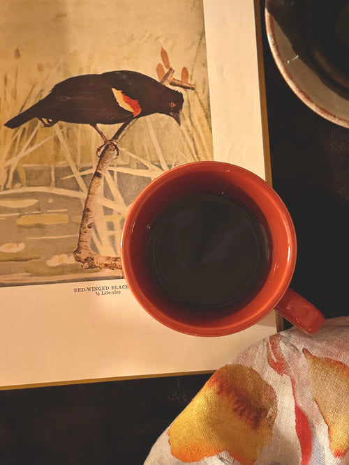 Blackbird - A Roasted Herbal Coffee Alternative