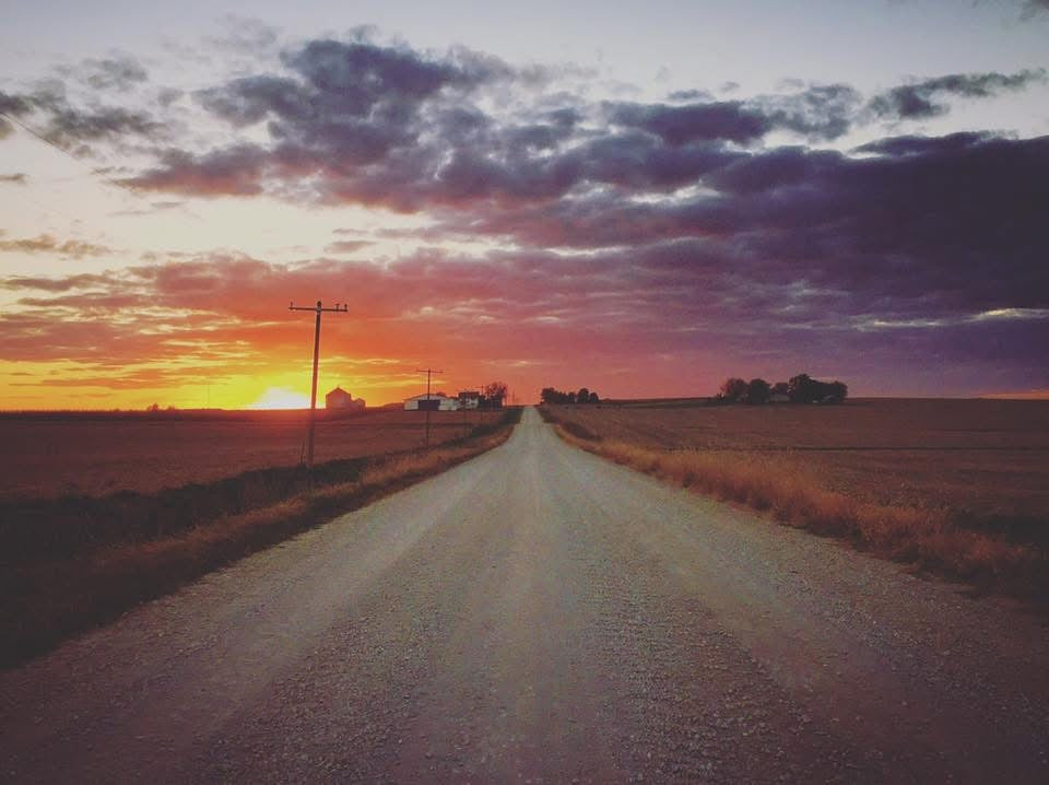 Iowa Sunset - A Chamomile Evening Blend