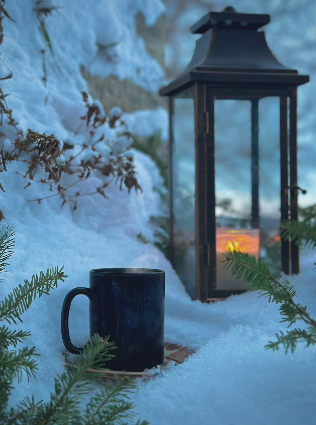 Frosted Solstice - Limited Release - Winter Edition 25/26